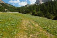 2015-07-04_2Sonnjoch (441).JPG